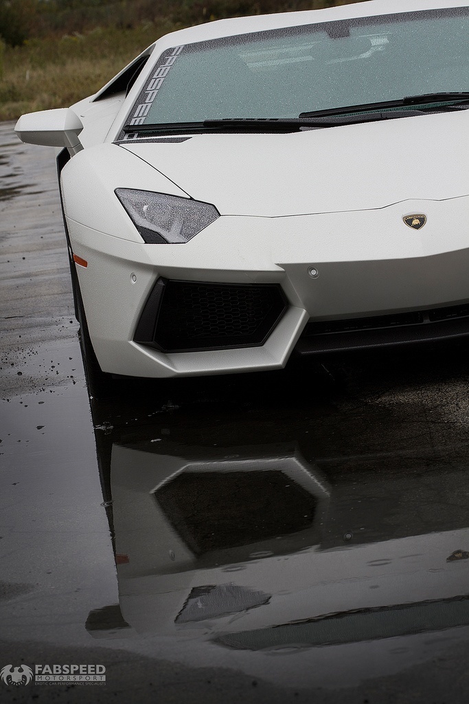 White Lamborghini Aventador Front End