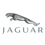 Jaguar Gallery
